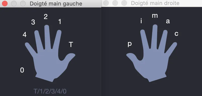 Fenêtres de doigté